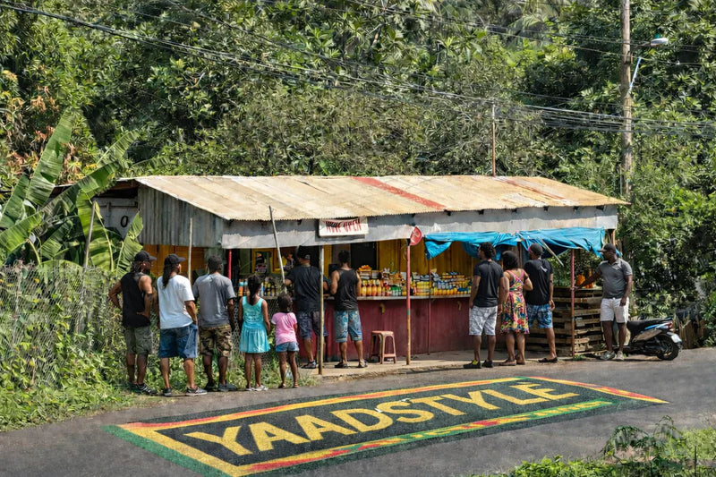 Background Caribbean image